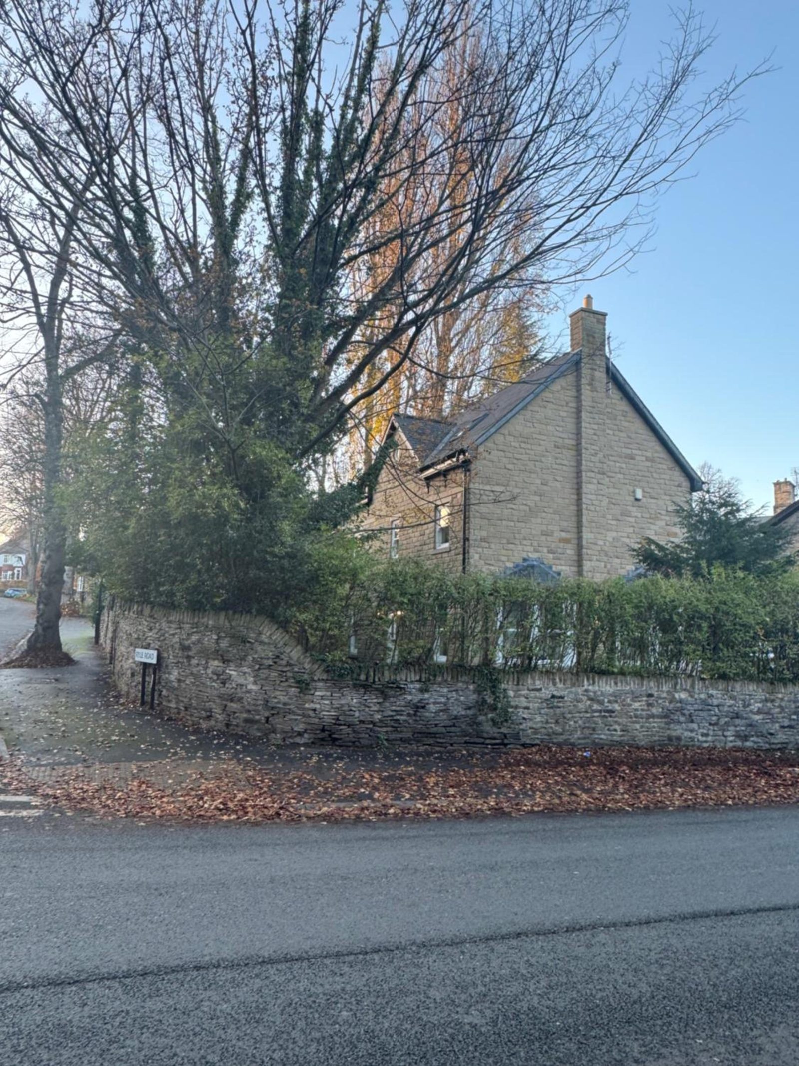 The Clubhouse — photo 6